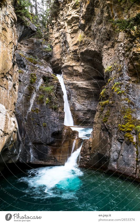 Einschneident Ferien & Urlaub & Reisen Ausflug Natur Landschaft Urelemente Wasser Felsen Schlucht Johnston canyon Wasserfall Kanada Banff National Park Alberta