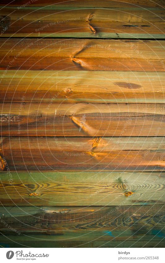 Bretterfarben Häusliches Leben authentisch Freundlichkeit Bretterzaun Holzwand Maserung horizontal Holzfußboden Strukturen & Formen Farbfoto Außenaufnahme