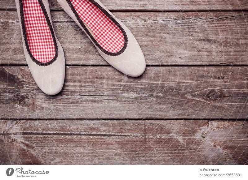 Damen-Pumps auf Holzbrettern Schuhe Damenschuhe wählen beobachten stehen paarweise Tracht verloren vergessen Einsamkeit Farbfoto Nahaufnahme Menschenleer