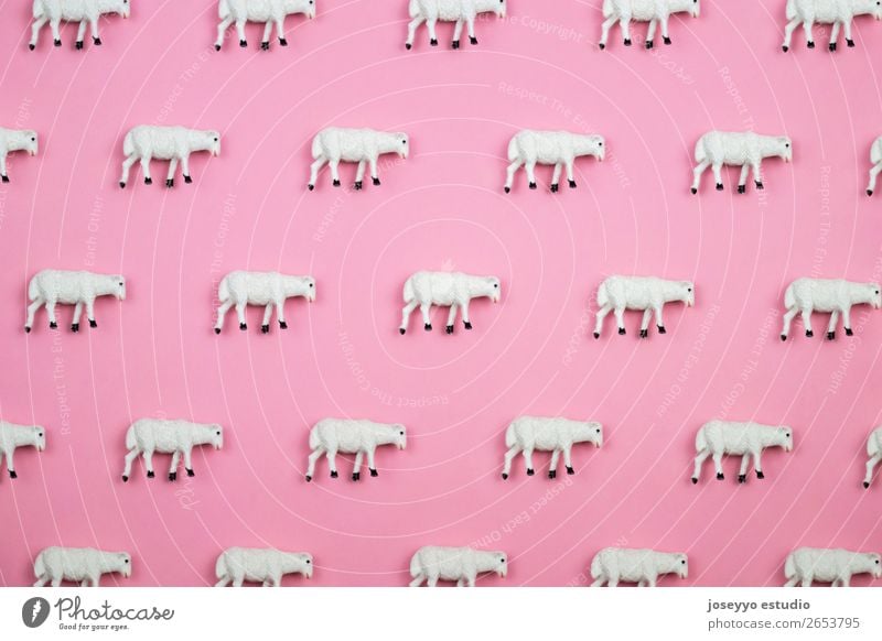 Minimales Muster aus Schafen. Design Dekoration & Verzierung Feste & Feiern Handwerk Tier Kunststoff schlafen träumen außergewöhnlich einfach oben rosa