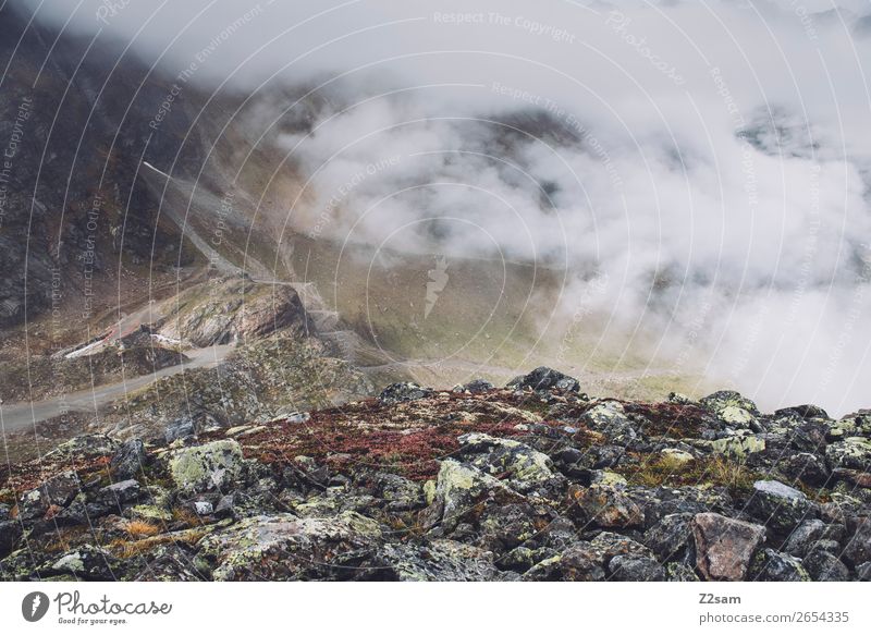 Blick Richtung Mittelberg | Pitztal Abenteuer Berge u. Gebirge wandern Umwelt Natur Landschaft Wolken Herbst schlechtes Wetter Nebel Felsen Alpen Gletscher hoch