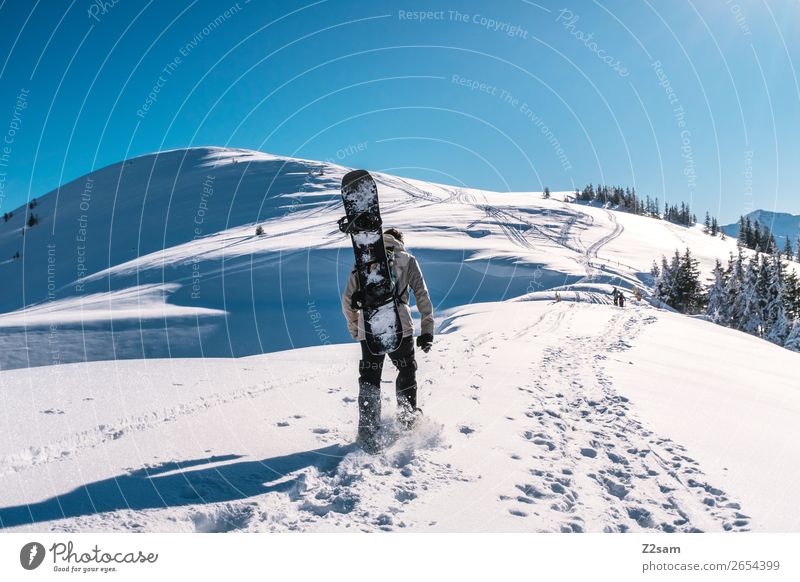 Tourengeher | Freeride Berge u. Gebirge wandern Wintersport Snowboard maskulin Natur Landschaft Himmel Sommer Schönes Wetter Schnee Alpen gehen Sport Coolness