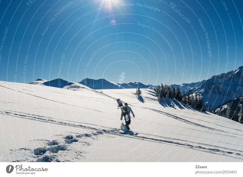 Tourengeher | Freerider Winter Berge u. Gebirge wandern Wintersport Snowboard maskulin Natur Landschaft Sonne Schönes Wetter Schnee Alpen gehen Sport Coolness