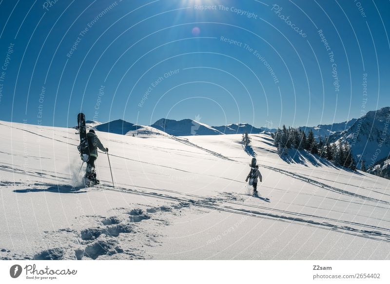 Tourengehen | Freeride Ferien & Urlaub & Reisen Ausflug Winter Berge u. Gebirge Wintersport wandern Snowboard 2 Mensch Natur Landschaft Sonne Schönes Wetter
