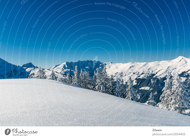 Winterwonderland Natur Landschaft Schönes Wetter Schnee Wald Alpen Berge u. Gebirge Gipfel ästhetisch einfach hoch kalt nachhaltig natürlich blau Einsamkeit