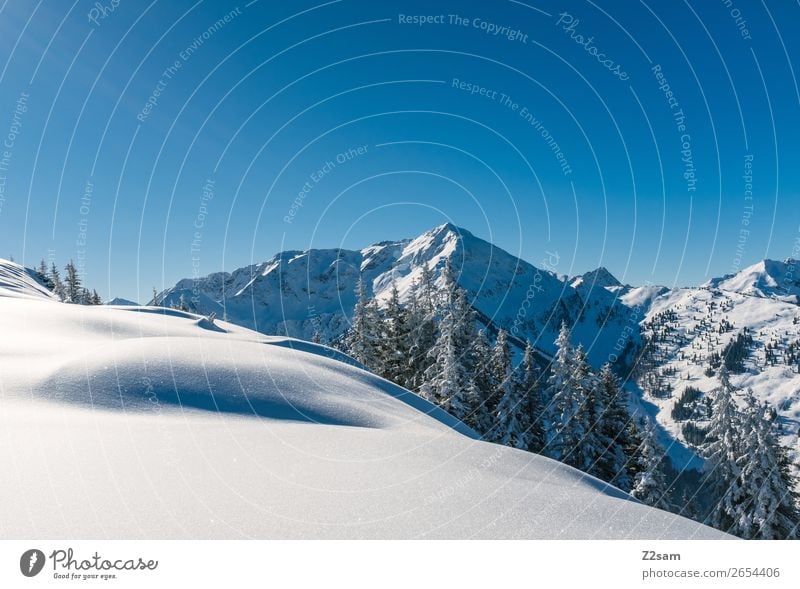 Winterwonderland Natur Landschaft Schönes Wetter Eis Frost Schnee Wald Alpen Berge u. Gebirge ästhetisch kalt blau ruhig Farbe Idylle nachhaltig Umwelt