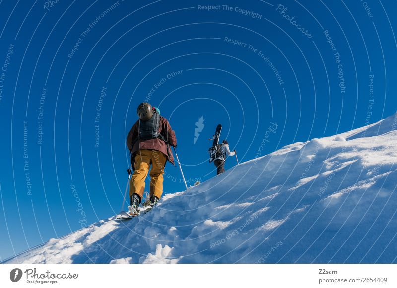 Tourengeher | Freerider Wintersport Skifahren Snowboard Natur Landschaft Wolkenloser Himmel Schönes Wetter Eis Frost Schnee Alpen Berge u. Gebirge Erholung