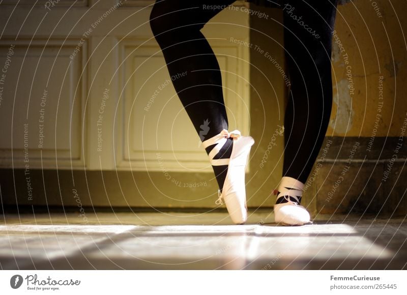 Ballet VII. Künstler Tanzen Tänzer Balletttänzer ästhetisch Bewegung Konzentration Präzision Sport-Training Körperhaltung Ballettschuhe Strumpfhose schwarz rosa