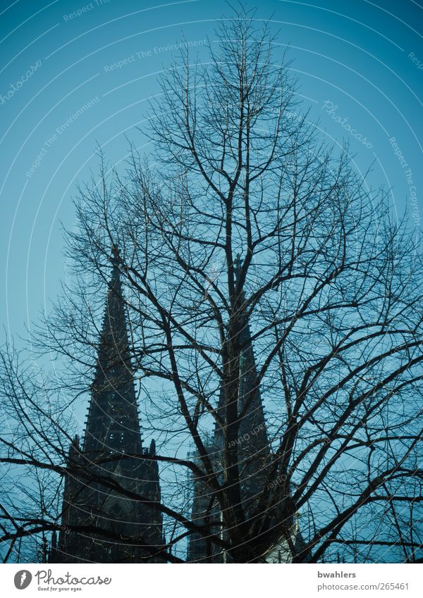 Kölner Dom Architektur Himmel Wolkenloser Himmel Baum Stadt Stadtzentrum Kirche Turm Bauwerk Sehenswürdigkeit groß historisch blau Gotik Farbfoto