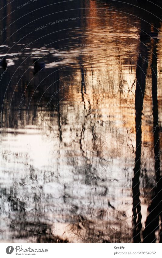 Lichtspiegelung im Teich Wasserspiegelung November Melancholie verzerrt Novemberbild Gewässer Verzerrung Traurigkeit Einsamkeit Nostalgie Herbststimmung