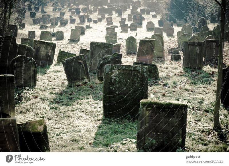 stille Friedhof Sehenswürdigkeit Stein Grabstein alt braun grün Gefühle trösten Traurigkeit Schmerz ruhig Tod Trauer erinnern Ewigkeit durcheinander