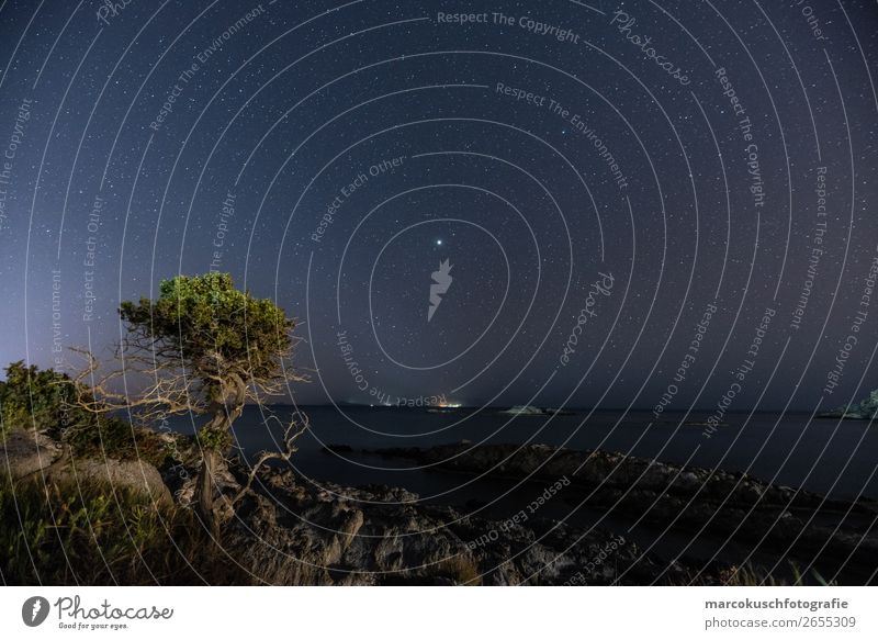 Blick aufs Meer bei Nacht Umwelt Natur Landschaft Wasser Wolkenloser Himmel Nachthimmel Stern Sommer Schönes Wetter Baum Grünpflanze Mittelmeer Insel Kos