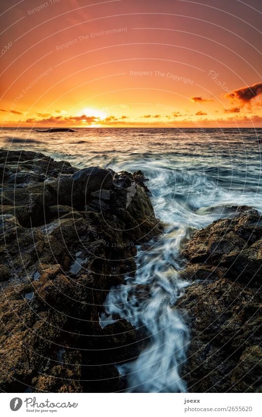 Was Du träumst Ferne Sommer Meer Natur Himmel Wolken Schönes Wetter Felsen Wellen Küste Insel La Palma maritim Wärme braun orange schwarz weiß Fernweh Horizont