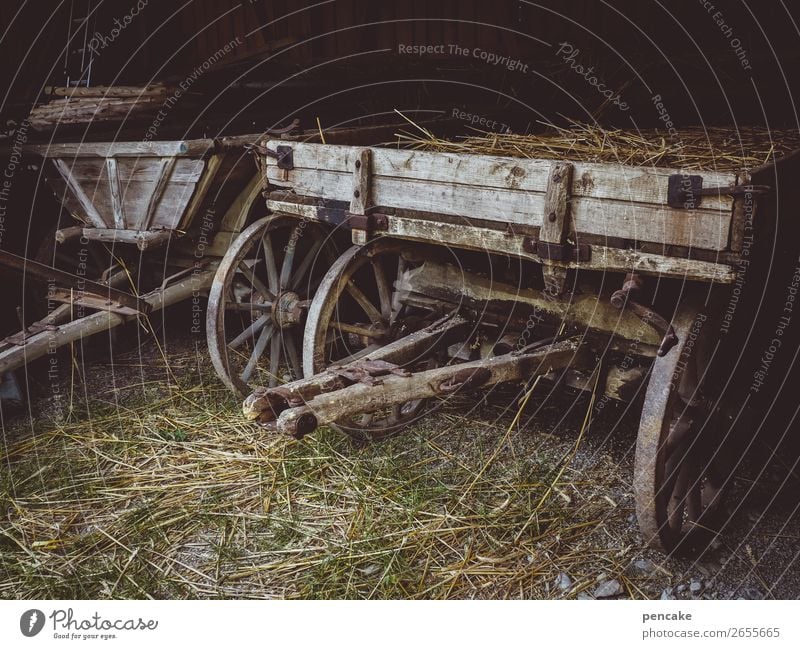 agrar oldtimer Natur Hütte Handwagen Anhänger alt historisch Bauernhof Freilichtmuseum Karre Stroh Holz Landwirtschaft Transportfahrzeug Farbfoto