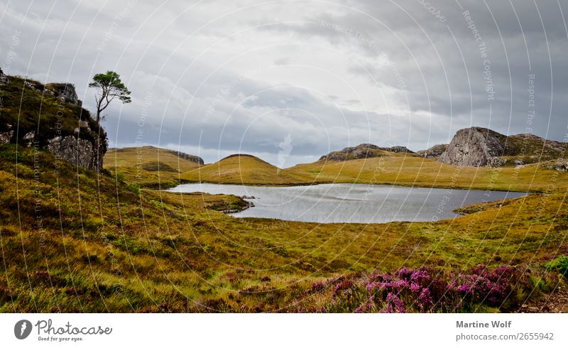 Ferry Lochs Natur Landschaft Pflanze Wolken Herbst See Großbritannien Schottland Europa stark Kraft Gorßbritannien Farbfoto Gedeckte Farben Außenaufnahme