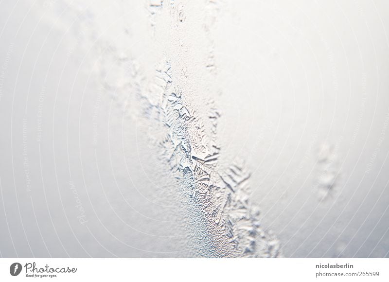 22°C im Schatten.. elegant Winter Umwelt Natur Urelemente Klima Klimawandel schlechtes Wetter Eis Frost Fenster Kitsch Krimskrams Glas außergewöhnlich glänzend