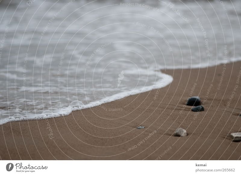 Strandmoment Erholung Sommerurlaub Meer Wellen Umwelt Natur Sand Wasser schlechtes Wetter Küste Stein liegen braun ruhig fließen Sandstrand Farbfoto