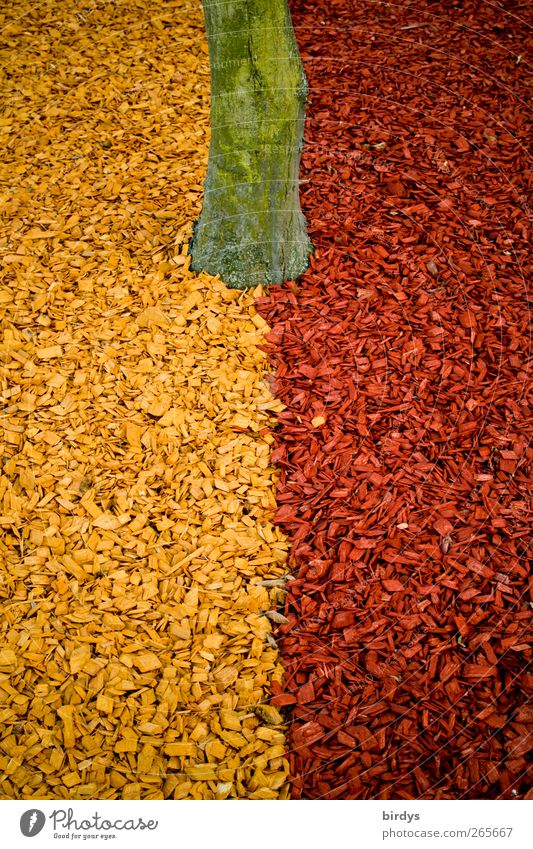 Jedem das Seine Baum Verpackung Holz ästhetisch außergewöhnlich Kitsch gelb grün rot einzigartig Bodenbelag Hackschnitzel Garten 2 1 Grenze begrenzen Farbe