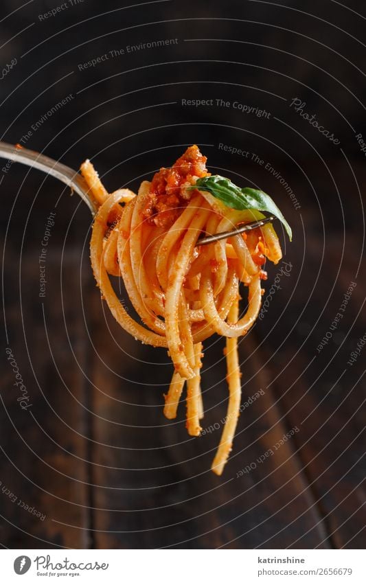 Spaghetti-Nudeln mit Bolognesesauce Fleisch Käse Kräuter & Gewürze Mittagessen Abendessen Teller Gabel Holz hell oben Tradition Basilikum Rindfleisch