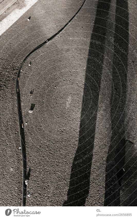 langebeineschwung Fotograf Kabel Mensch Erwachsene Beine 1 Sonnenlicht Schönes Wetter Verkehrswege Fußgänger Straße Wege & Pfade Boden Asphalt authentisch groß