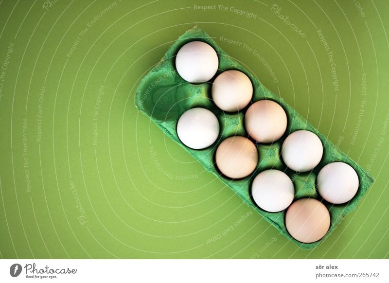 unvollständig Lebensmittel Ei Hühnerei Frühstückstisch Bioprodukte Ostern frisch Gesundheit rund grün weiß unvollendet fehlen 1 Mogelpackung Eierkarton