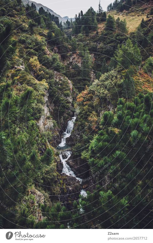 Wasserfall | Timmelsjoch Abenteuer Berge u. Gebirge wandern Umwelt Natur Landschaft Herbst Wald Alpen Bach ästhetisch frisch nachhaltig natürlich grün