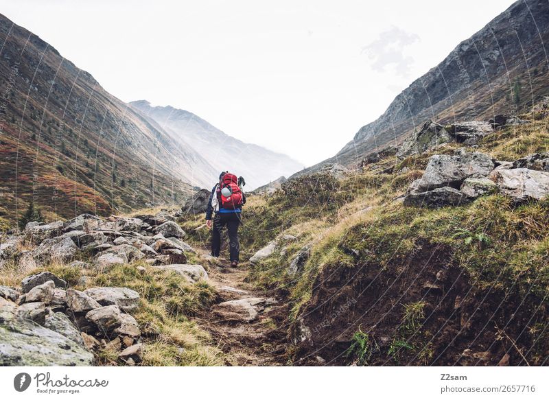 Aufstieg zum Timmelsjoch | E5 Ferien & Urlaub & Reisen Abenteuer wandern Junge Frau Jugendliche 18-30 Jahre Erwachsene Natur Landschaft Herbst Nebel Wiese Alpen