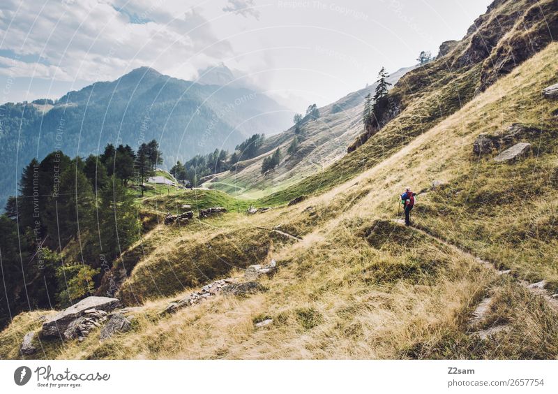 Junge Frau auf Alpenüberquerung | E5 Freizeit & Hobby Ferien & Urlaub & Reisen Abenteuer wandern Natur Landschaft Wolken Sonnenlicht Schönes Wetter