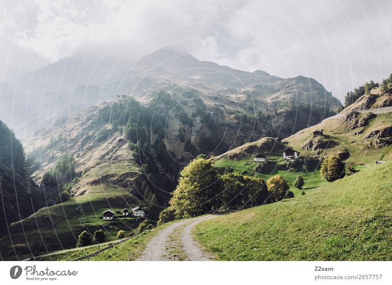 Südtirol | Alpenüberquerung Abenteuer wandern Umwelt Natur Landschaft Sonne Herbst Schönes Wetter Wiese Berge u. Gebirge Schlucht Dorf nachhaltig natürlich grün