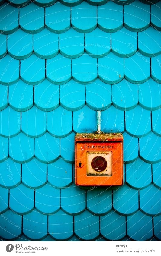 alter, feuerroter Feuermelder auf einer blauen Schindelwand an einem Haus Alarmanlage Notruf Sicherheit nostalgisch leuchten Feueralarm Feuerwehr