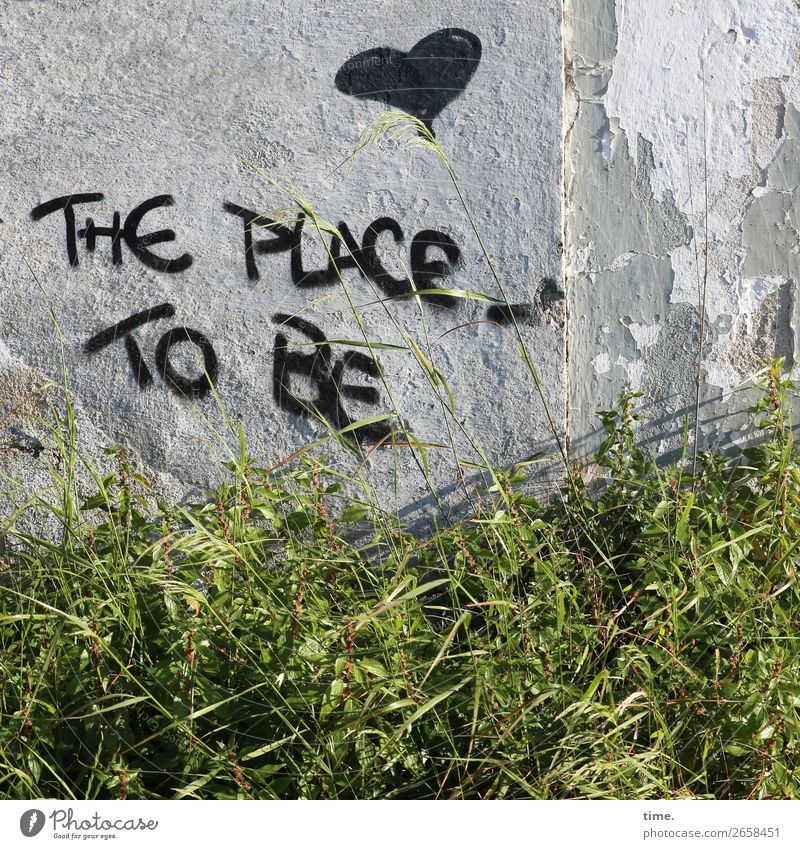 Junk|ie's Retreat Gras Mauer Wand Zeichen Schriftzeichen Ornament Graffiti Herz kaputt trashig selbstbewußt Gastfreundschaft Menschlichkeit Hilfsbereitschaft