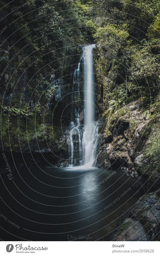 Dschungel-Wasserfall Ferien & Urlaub & Reisen Abenteuer Natur Landschaft entdecken natürlich blau grün Langzeitbelichtung Reisefotografie reisend Neuseeland