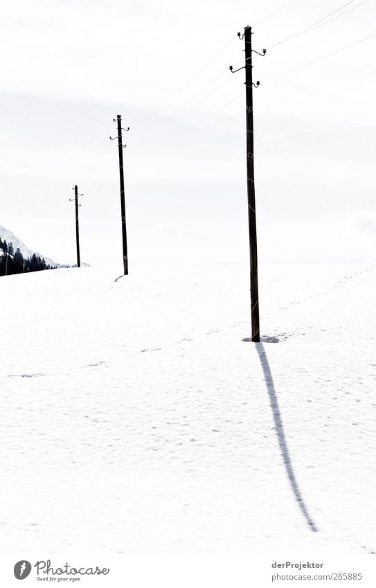 Streichhölzer am Band Landschaft Himmel Sonne Sonnenlicht Winter Schnee Hügel Alpen Berge u. Gebirge Menschenleer Holz lang weiß standhaft Ordnungsliebe