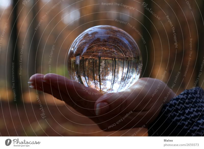 Herbst durch eine Glaskugel ball Illumination Finger Herbstlaub Hintergrundbild Kugel schön braun Kreis Landschaft Kristalle Tag Umgebung Baum Phantasie Blatt