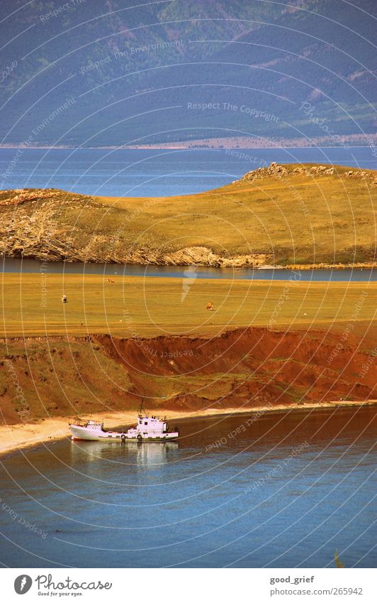 einmal zum baikalsee und zurück Umwelt Natur Landschaft Pflanze Tier blau braun mehrfarbig Wasserfahrzeug Fischer See Kuh Küste Insel Sibirien Farbfoto