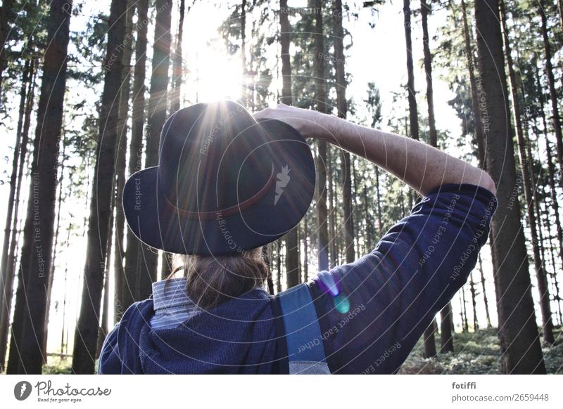 Fotocowboy im Gegenlicht maskulin 1 Mensch beobachten Fotografieren Wald Hut Blick ruhig Gedeckte Farben Außenaufnahme Tag Blick nach oben