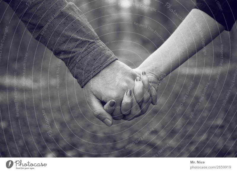 Hand in Hand Paar Partner Finger 2 Mensch Zufriedenheit Akzeptanz Vertrauen Sicherheit Schutz Geborgenheit Einigkeit loyal Sympathie Freundschaft Zusammensein