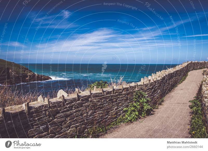 Blick aufs Meer bei Port Isaac in England Natur Landschaft Wasser Himmel Wolken Sommer Schönes Wetter Küste Stadtrand Hafen Mauer Wand Wege & Pfade maritim