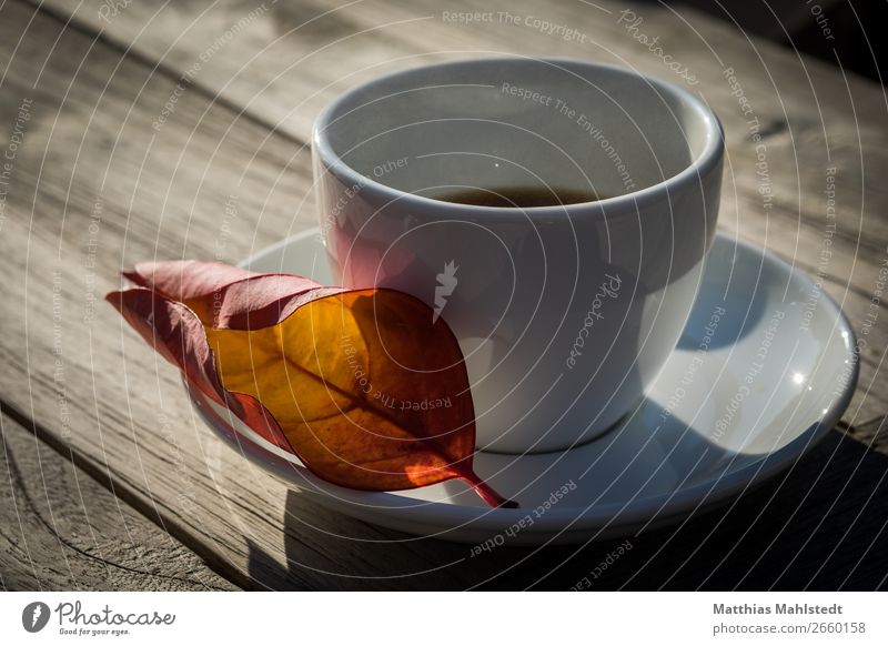 Tasse mit Blatt Getränk Kaffee Geschirr Tisch Herbst Holz außergewöhnlich heiß gelb rot weiß Gastfreundschaft ruhig Zufriedenheit Duft Pause Farbfoto