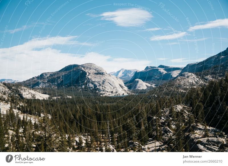 Yosemite Nationalpark Erholung Ferien & Urlaub & Reisen Tourismus Ausflug Abenteuer Camping Berge u. Gebirge wandern Umwelt Natur Landschaft Luft Baum Felsen