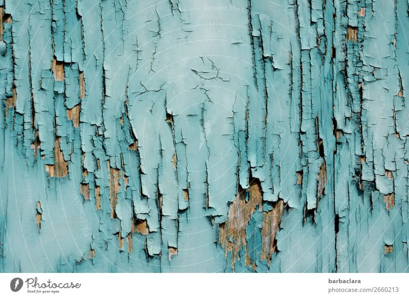 Alterserscheinungen | der Lack ist ab Gebäude Mauer Wand Fassade Tür Holz Linie Streifen alt ästhetisch blau türkis bizarr Farbe Kunst Vergänglichkeit