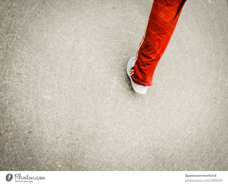 Laufwunder Fitness Sport-Training Sportler Joggen Beine Bewegung gehen laufen Gesundheit rot Straße Farbfoto Außenaufnahme Textfreiraum links Textfreiraum unten