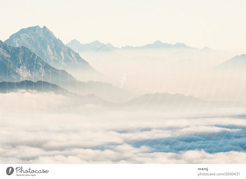 nebulös | so schön watteweich Erholung Meditation Tourismus Ausflug Abenteuer Ferne Freiheit Berge u. Gebirge Natur Nebel Felsen Alpen Grimming Gipfel