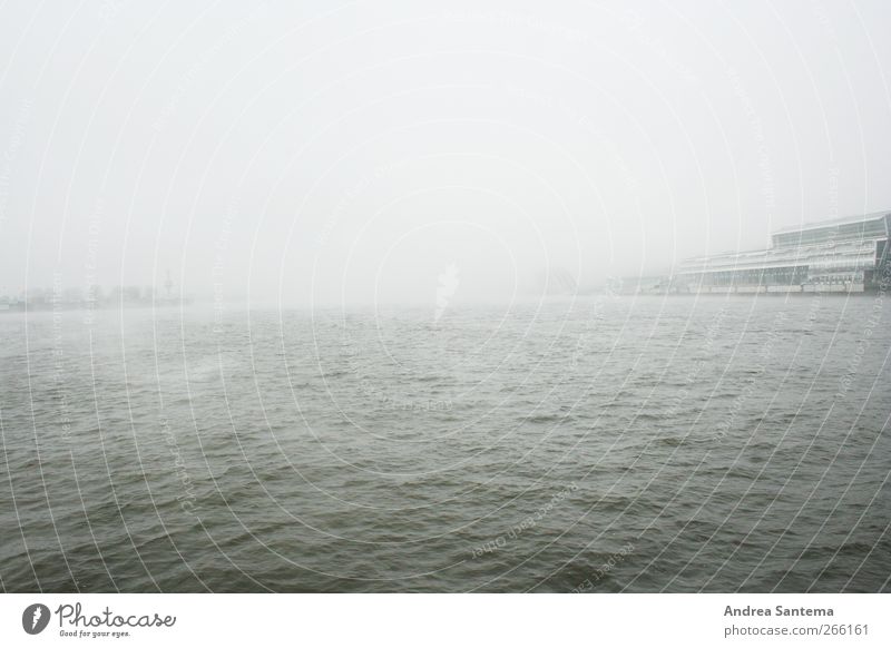 Hamburg Hafen Wasser Horizont schlechtes Wetter Wind Nebel Regen Wellen Meer Unendlichkeit gruselig Traurigkeit Sehnsucht Heimweh Fernweh Einsamkeit