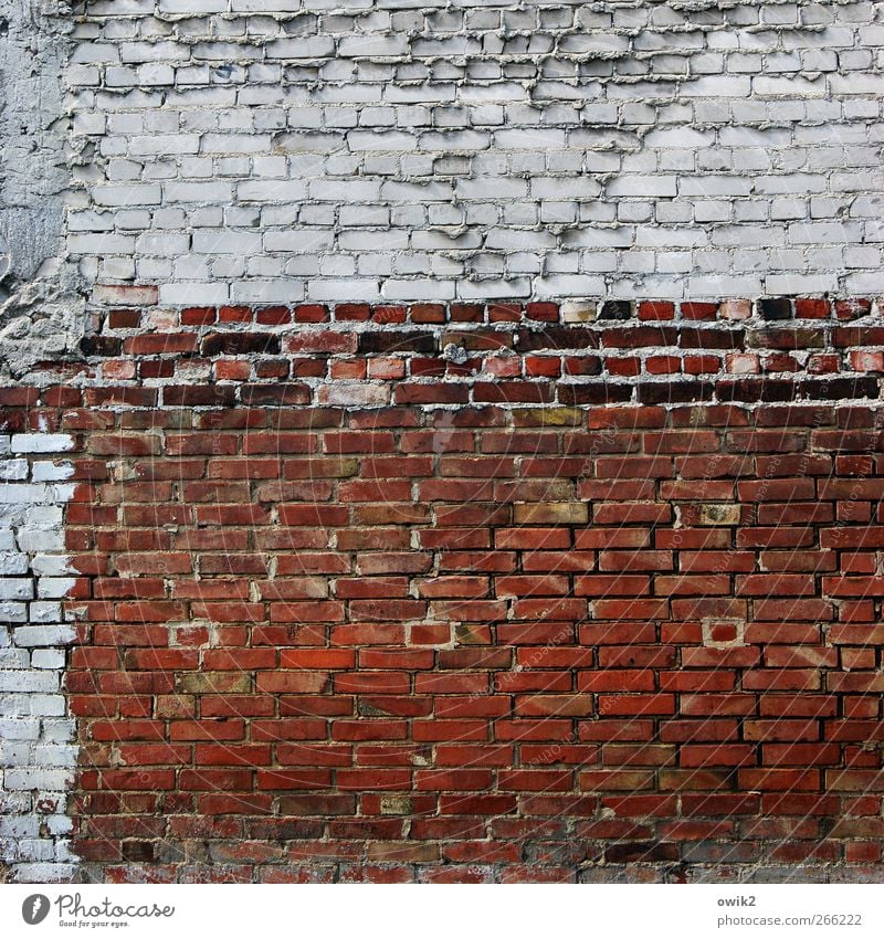 Niemand hatte die Absicht Bauwerk Gebäude Architektur Mauer Wand Fassade Backstein Backsteinwand Backsteinfassade Stein stehen alt ästhetisch eckig einfach fest