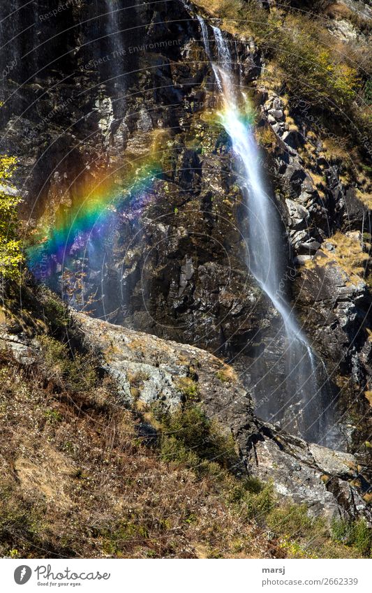 Die Natur kann doch die besten Farbspiele Herbst Regenbogen Wasserfall nass natürlich mehrfarbig fließen Lichterscheinung Lichtbrechung Erscheinung Erfrischung