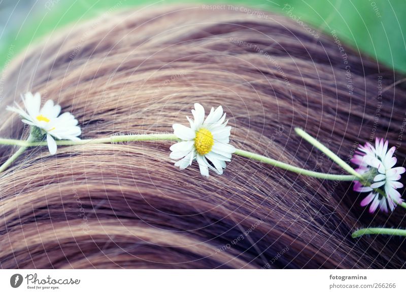 Blumenmädchen Lifestyle Stil Glück schön Haare & Frisuren Mädchen Junge Frau Jugendliche Natur Pflanze genießen violett Frühling Frühlingsgefühle Farbfoto