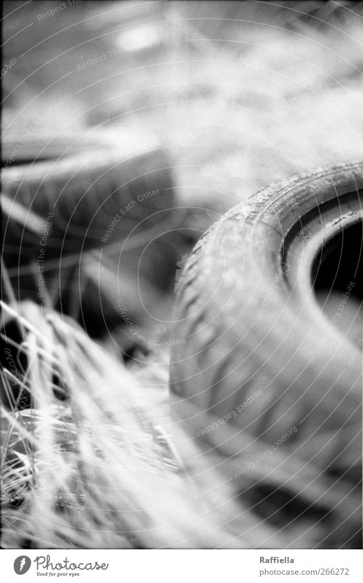 versteckte welt II Natur Pflanze Gras Reifen Reifenprofil warten abgelegen wegwerfen Schwarzweißfoto Außenaufnahme Muster Strukturen & Formen Menschenleer Tag