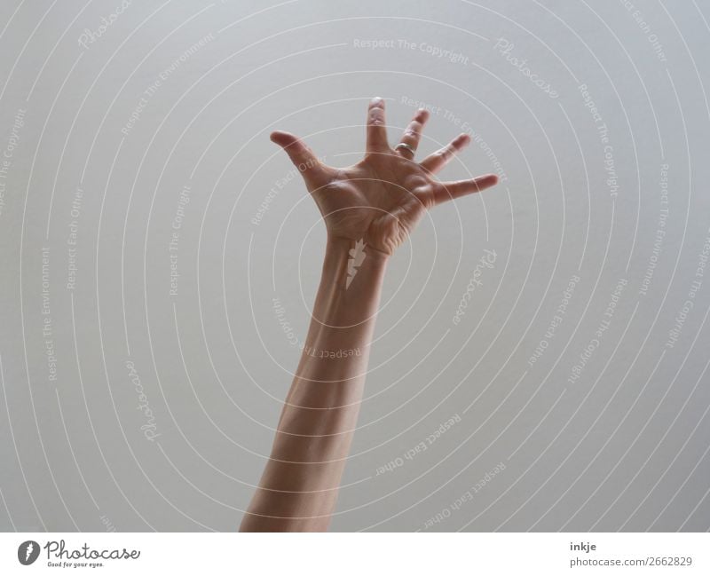 Überraschung ! Lifestyle Freude Leben Arme Hand Finger authentisch Vor hellem Hintergrund Handfläche gestikulieren strecken Applaus Kaukasier dünn Farbfoto