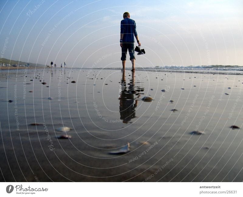 Walkin’ down the beach Niederlande Strand Mann Brandung Muschel Einsamkeit Denken Chucks Sand Himmel
